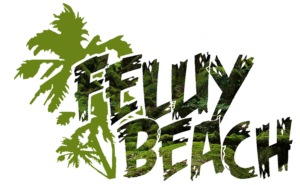 Feluy Beach